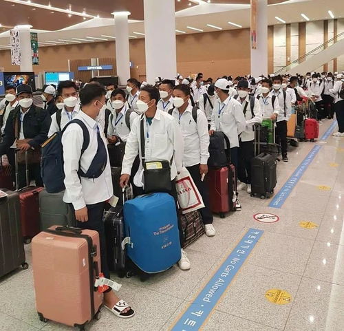 因私出入境中介服务 架设个人海外出行的专业桥梁